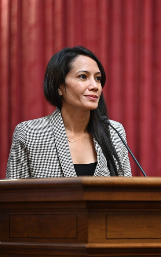Amjad steps down as W.Va. state health officer, will advise governor ...